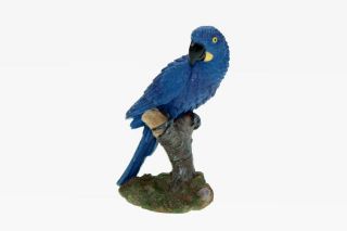 Obrázek z Papoušek modrý polyresin 9cm(4) 